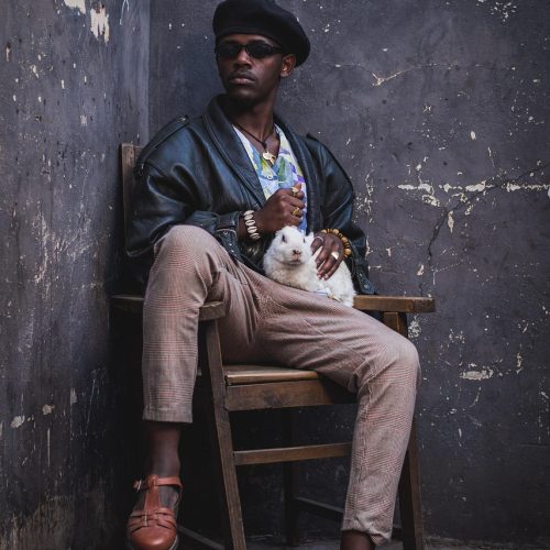 fashion, model, style, fabric, man, bold, culture, pet, africa, black, rabbit